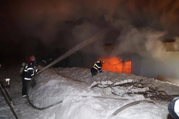 `Pensionarii` norocoşi de la Circul Globus, incendiat azi dimineaţă. Au fost aduşi la Zoo Braşov, iar acum se cauta casă şi pentru alte animale rămase fără adăpost