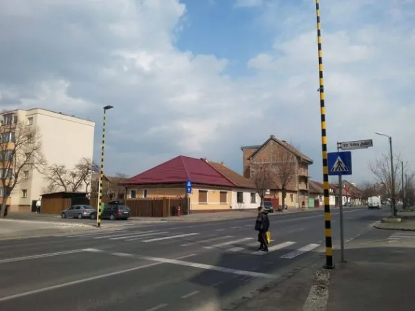 „Zebra inteligentă” se mută pe strada 13 Decembrie