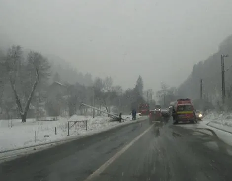 A dărâmat un stâlp de pe marginea DN 1, la Timişu de Jos