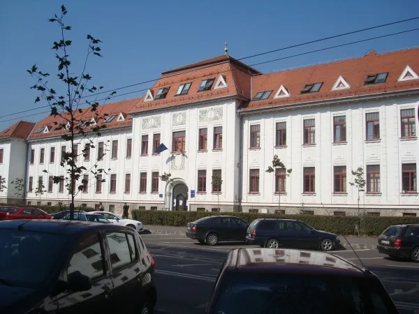 Un tată şi doi bunici, la un pas de arest după ce au vrut să ia copilul de lângă mamă