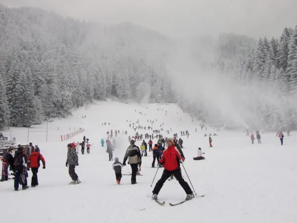 Zăpada din ianuarie a adus la Braşov cu 22% mai mulţi turişti decât anul trecut