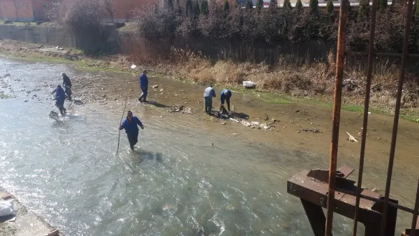 Au adunat deşeuri din pâraiele judeţului de Ziua Mondială a Apei 