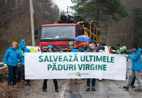 Protest împotriva tăierilor de arbori pe Transfăgărăşan