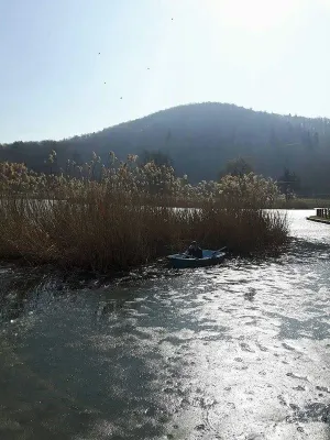 Câine salvat de pe lacul din Noua