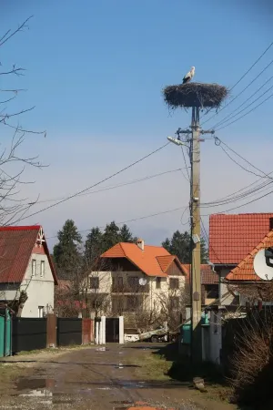 Ziua în care a venit barza