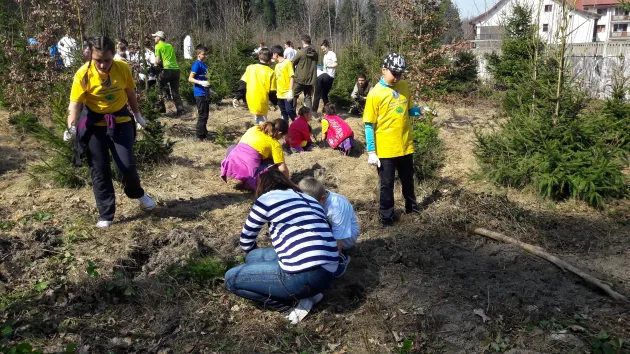 Mobilizare generală la plantările de copaci din Braşov şi Râşnov