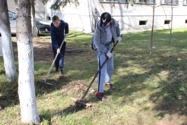 Voluntarii au curăţat curtea spitalului din Făgăraş