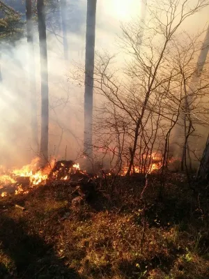 Tâmpa în flăcări! Un incendiu stins... cu petul