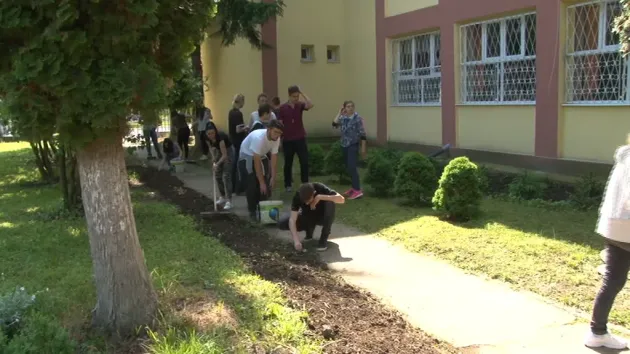 Atenţia pentru natură, importantă pentru elevi