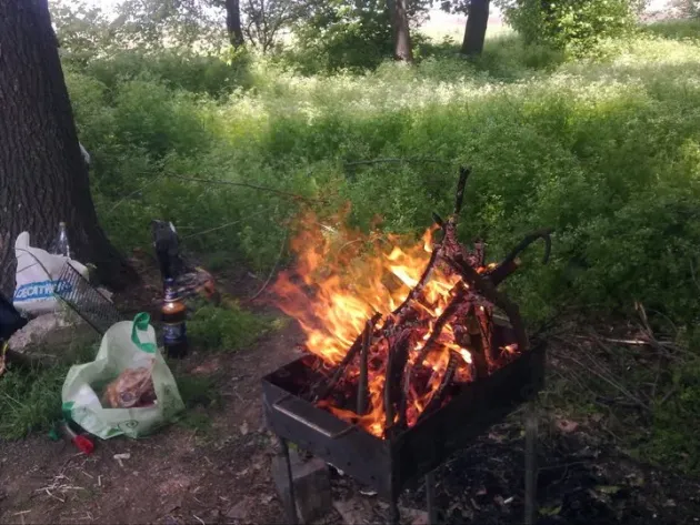 Pompierii braşoveni atrag atenţia asupra grătarelor în minivacanţa de 1 iunie şi Rusalii