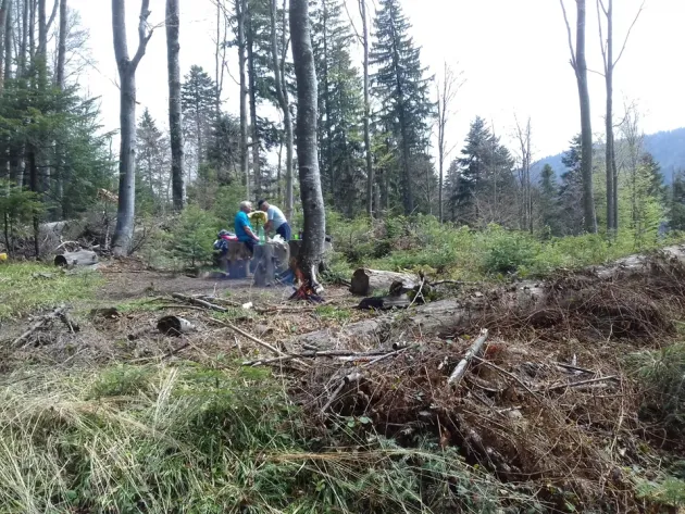 „Picnicarii de pădure”,  o „specie” amendabilă cu minim 3.000 de lei