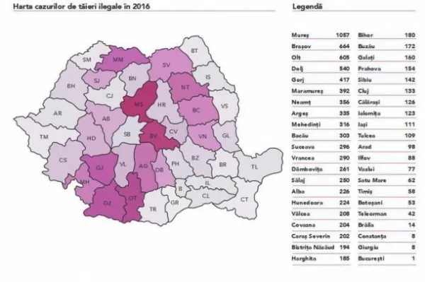 Brașovul, locul 2 pe harta defrișărilor ilegale