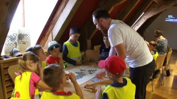 Grija pentru păsări e o joacă