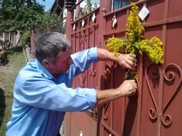 De ce se merge cu flori la biserică în ziua Sânzienelor