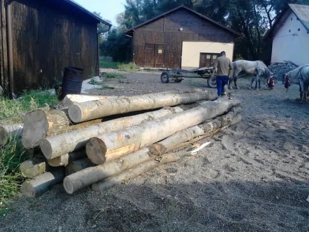 Un cărăuș de lemne fără documente, prins la „pânda” de duminică pe DJ103B