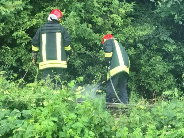 Goana ISU după vântul nebun
