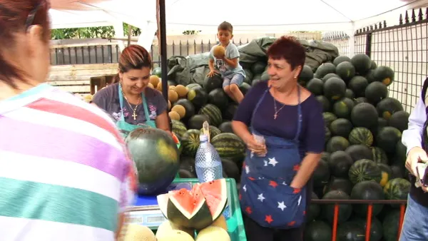 Pepenii de Dăbuleni, vedeta pieţelor braşovene