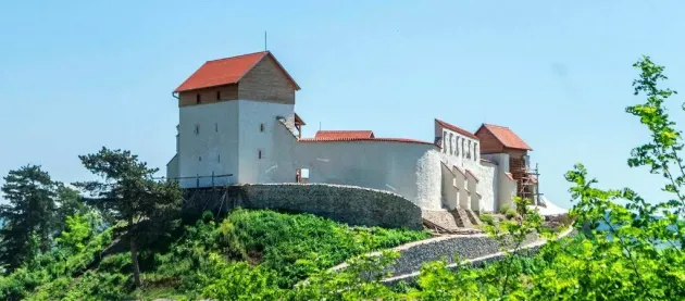 În comă după ce a căzut de la o înălțime de trei metri, la Cetatea Feldioara