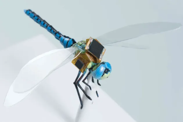 Jumătate insectă, jumătate maşină