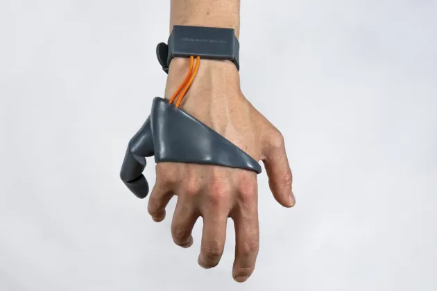 Mâna cu şase degete, acum de vânzare