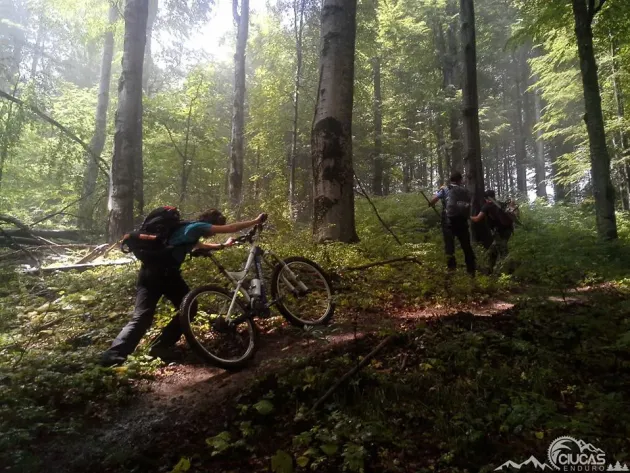 Pe bike până la 1.840 metri altitudine