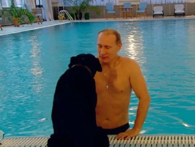 Dimineaţa lui putin