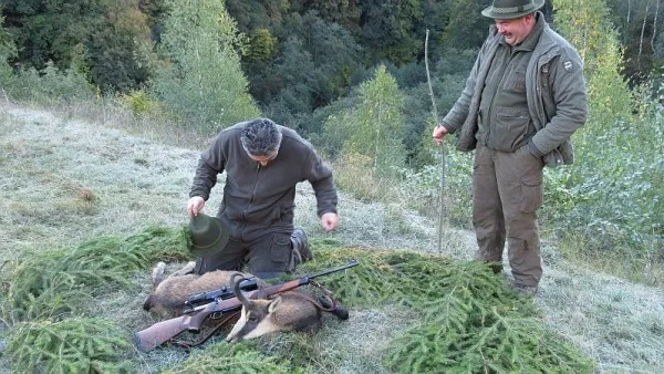 „Cotă de vânătoare” de 60 de capre negre în Braşov. Costul vânătorii unui exemplar se ridică şi la 10.000 de euro
