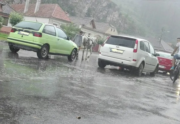 Imagine inedită: când ai probleme cu maşina, te salvează… calul