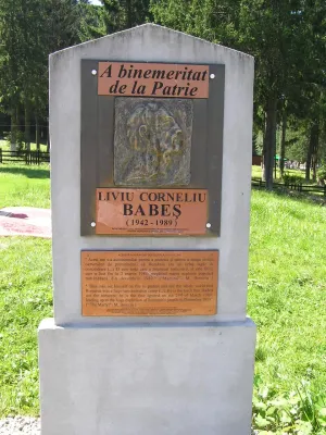 Concurs de arhitectură pentru monumentul lui Liviu Cornel Babeş