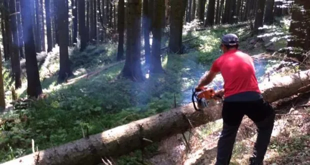 Traseu neumblat din Piatra Mare, curăţat şi redeschis