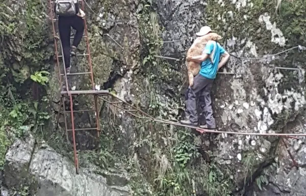 Câine salvat de la moarte de un turist, în Munţii Făgăraş