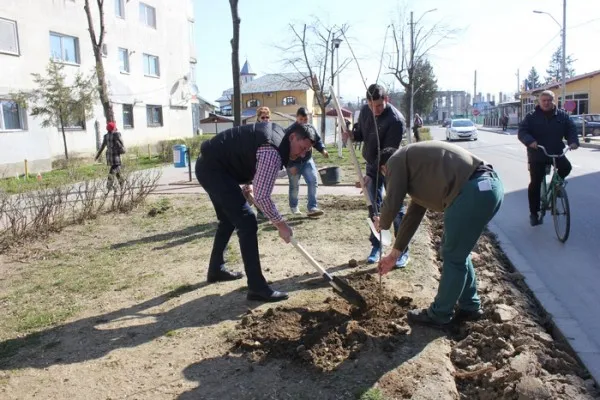 Proiectul „Braşovul verde” a devenit opţional