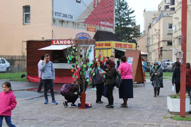 Liceenii făgărăşeni au creat „Copacul mobilităţii“