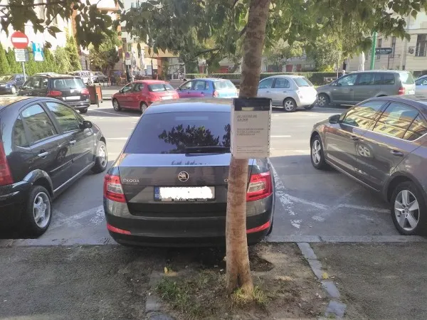 Cutii ale milei cu cauze false