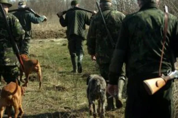 Au gonit urşii şi mistreţii de la marginea cartierelor