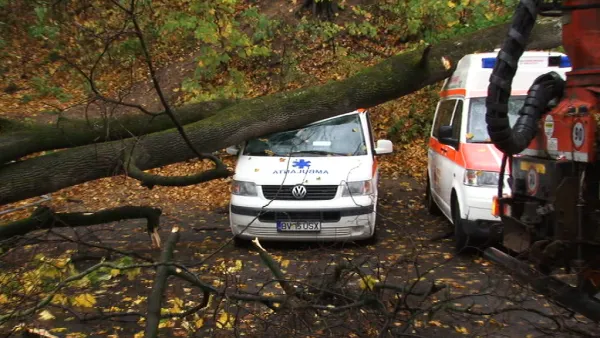 Comitetul Local pentru Situaţii de Urgenţă, convocat pentru situația blocului de pe Molidului și a copacilor căzuți „După ziduri“