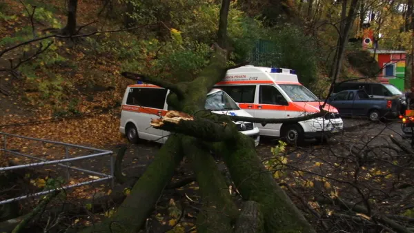 Copac căzut peste două maşini de ambulanţă, pe aleea „După ziduri”