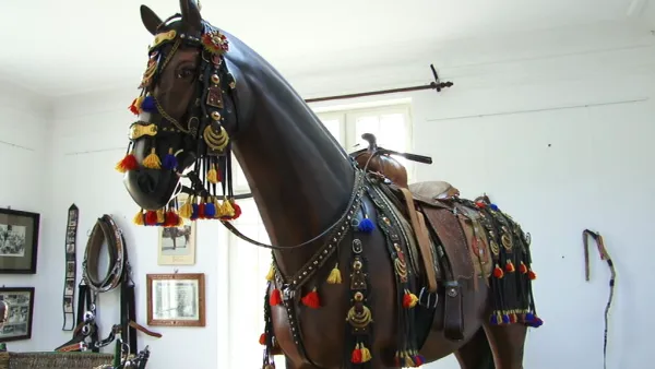 Calul din Casa Junilor e gata: În mărime naturală şi cu şalanguri premiate de Regele Carol al II-lea