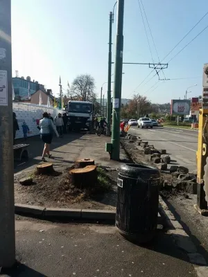 Vânduți la bucată de Primărie: Mai mulți arbori din Centrul Civic au fost tăiați pentru a „deschide priveliștea” către viitorul mall