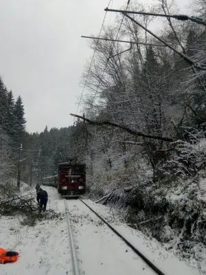 Şapte trenuri blocate luni dimineaţă, la Dârste şi Timişu de Sus, din cauza unui copac căzut  