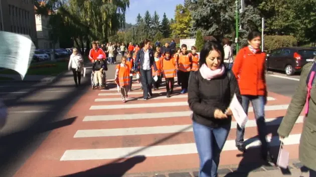 La plimbare... oficială