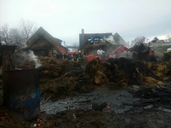Incendiu de proporții la Hălchiu: Șură cu nouă tone de fân distrusă de flăcări. Un porc aflat în interiorul clădirii nu a mai putut fi salvat