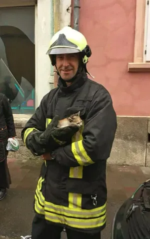 Pisică salvată de sub capota unei maşini