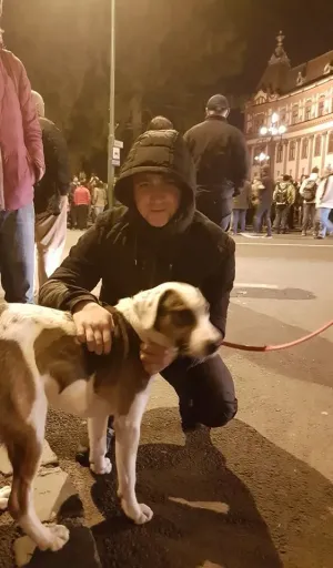Marian Godină a făcut profilul protestatarului de duminică, de la Brașov