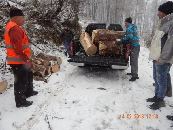Bradul de Crăciun de la Râşnov a ajuns la 6 copii fără mamă