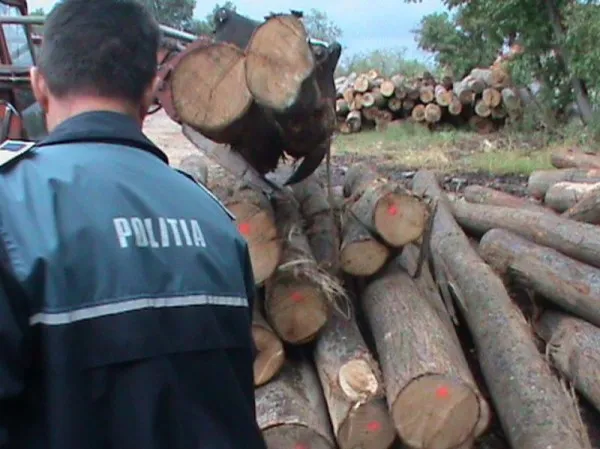 Amendat cu 1.000 de lei pentru lemnele din remorcă