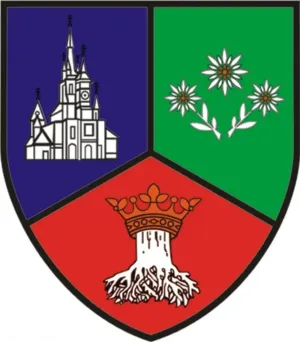 Ţara Cohalmului şi Ţara Făgăraşului îşi vor „găsi locul” în noua 
stemă a judeţului Braşov 