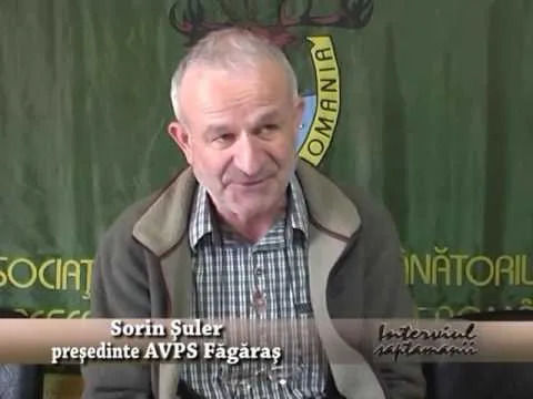 Atacuri ale urşilor la ferme din Felmer şi Şoarş