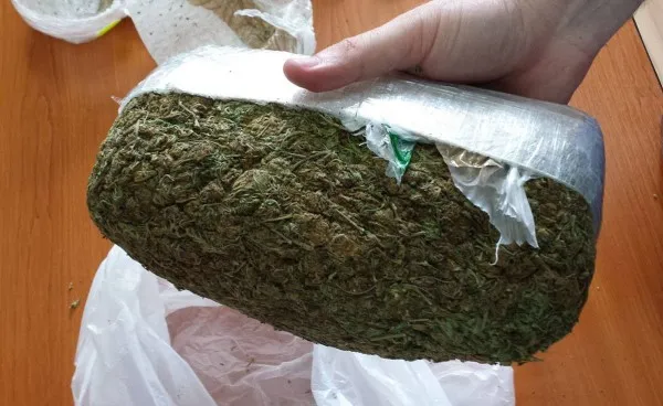 Navetişti de Spania, după cannabis