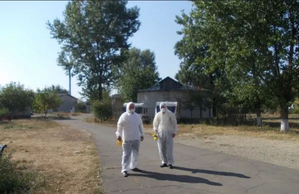 Primăria Braşov a trebuit să recupereze 126.000 de lei de la un ofertant înscris la o licitaţie pentru deratizare, dezinsecţie, dezinfecţie